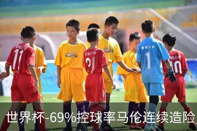 世界杯-69%控球率马伦连续造险 荷兰半场暂0-0平日本